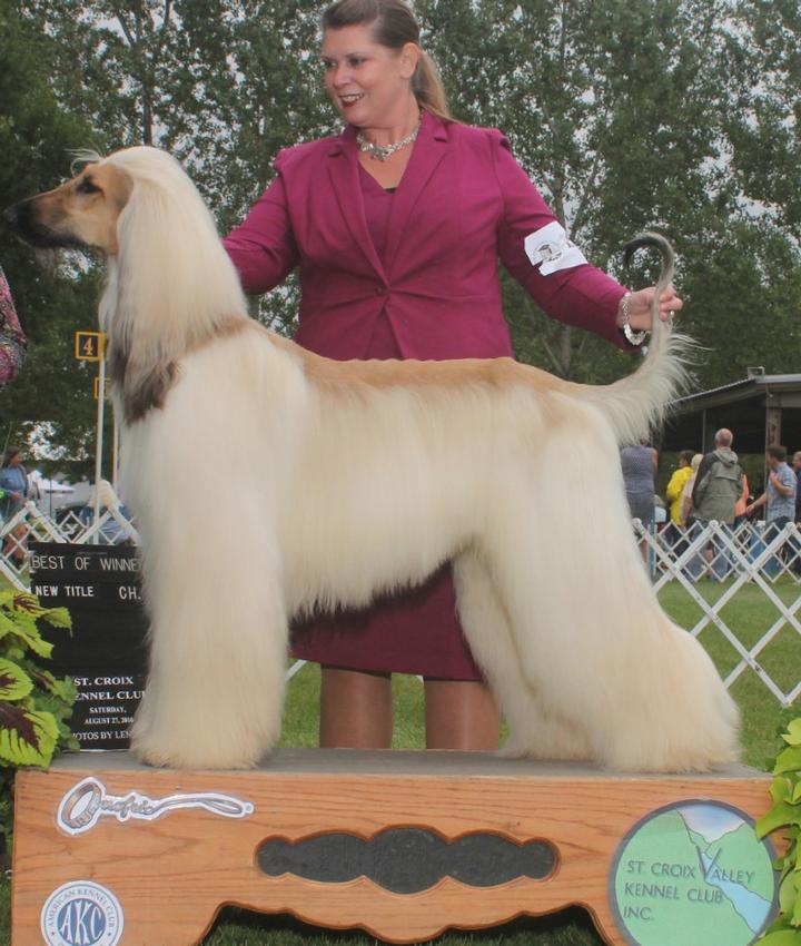 Lisa Christopherson