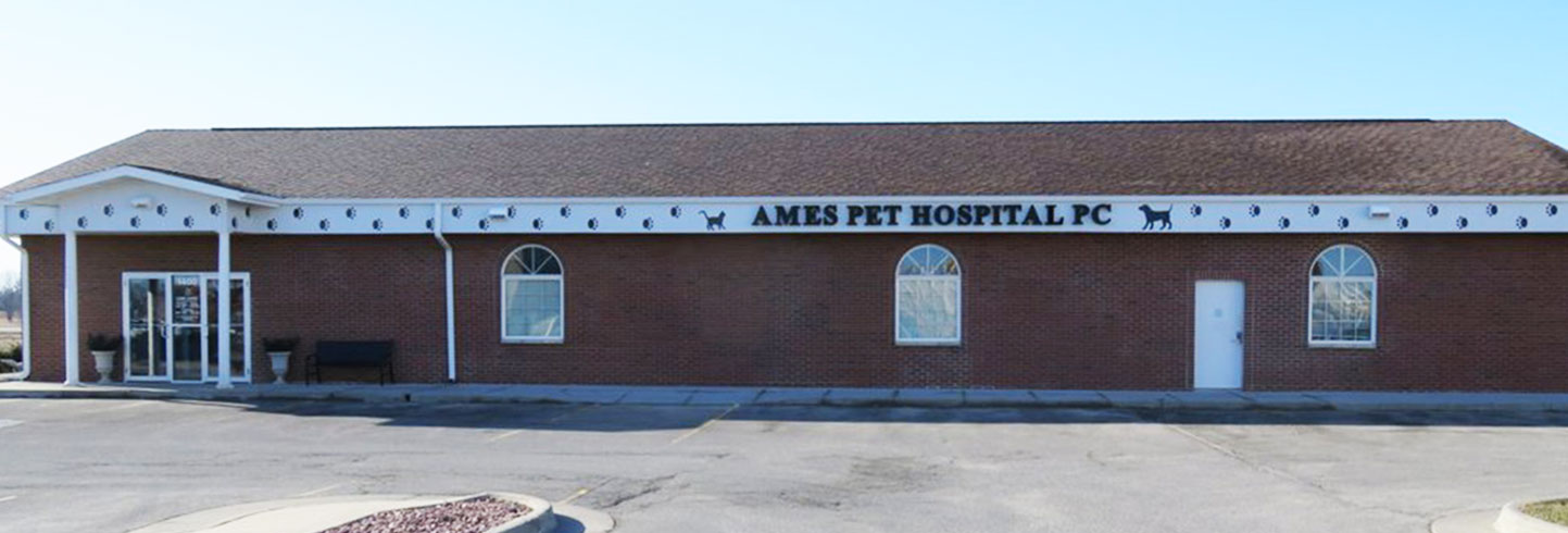 Ames Pet Hospital | Ames veterinary hospital